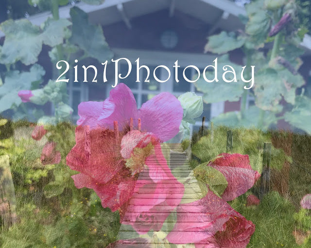 Featured Post Image - ✿ 2in1 Photoday August | 2in1 Photoday mit Heimatliebe