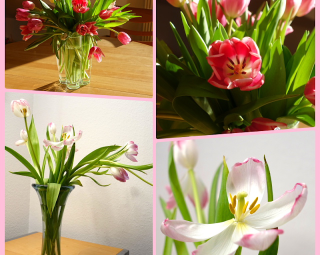 Featured Post Image - ✿ wie Tulpen sich mit der Zeit verändern …