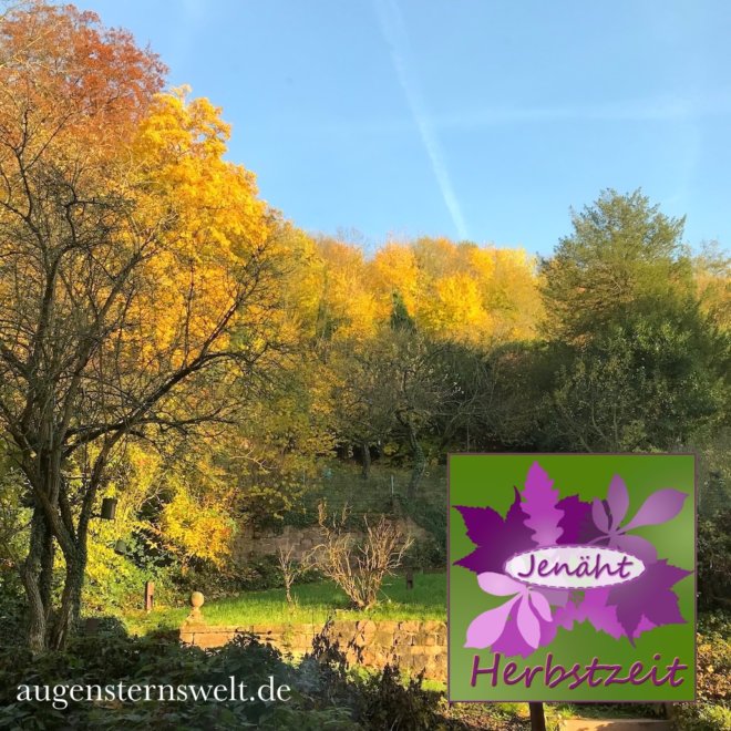 Featured Post Image - Herbstzeit 2019 – Mein Überblick…