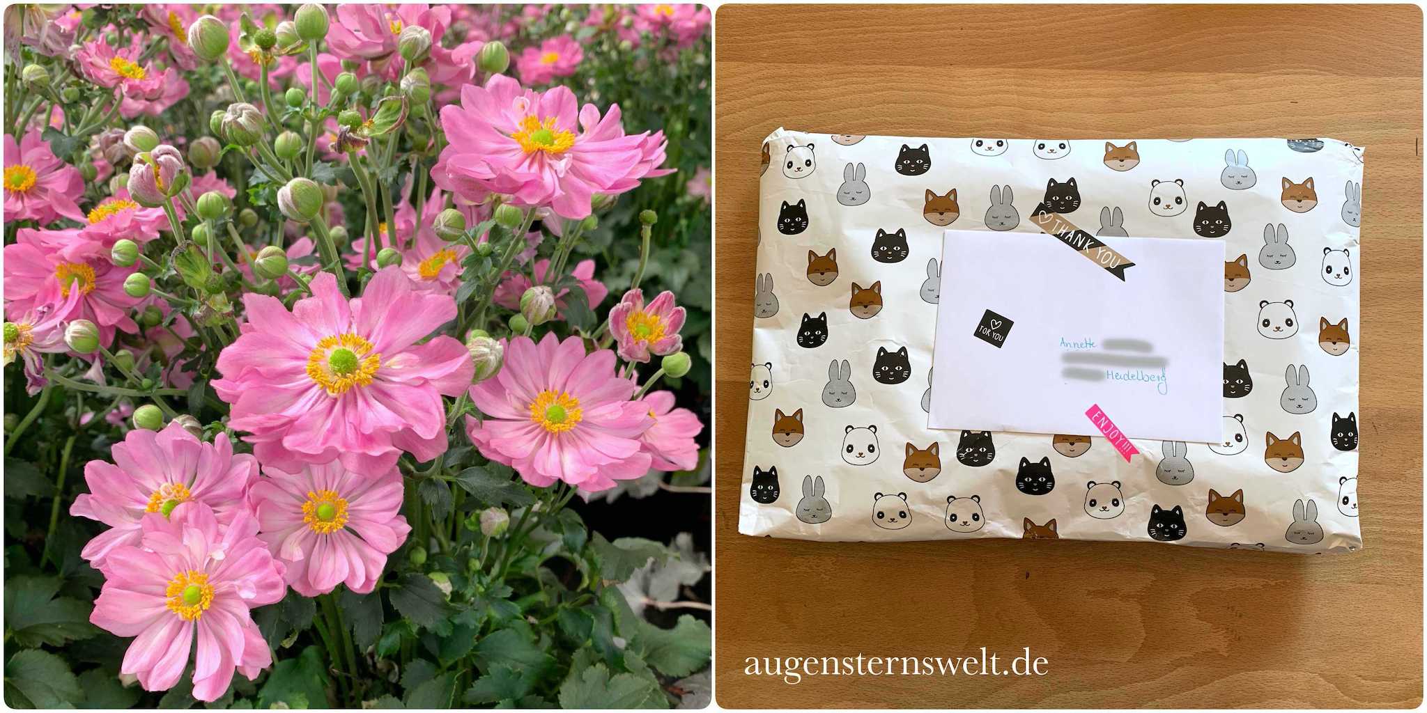 Featured Post Image - Überraschungspost aus Holland – Juhuu, ein Freutag für mich!