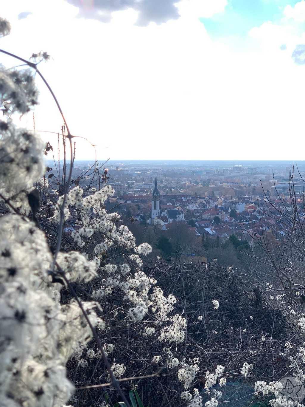 Featured Post Image - Jahresrückblick 2020