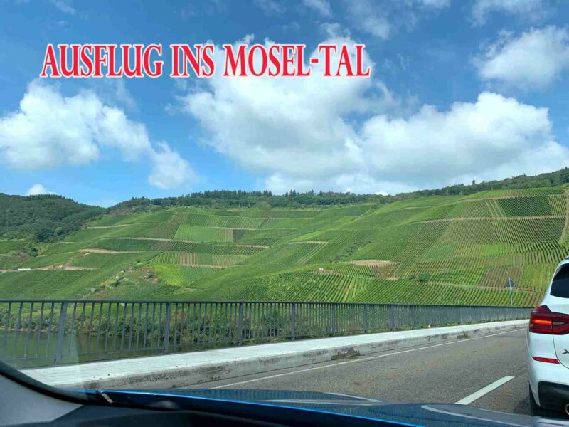 Featured Post Image - Ein Ausflug an die Mosel