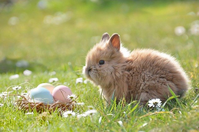 Featured Post Image - Frohe Ostern