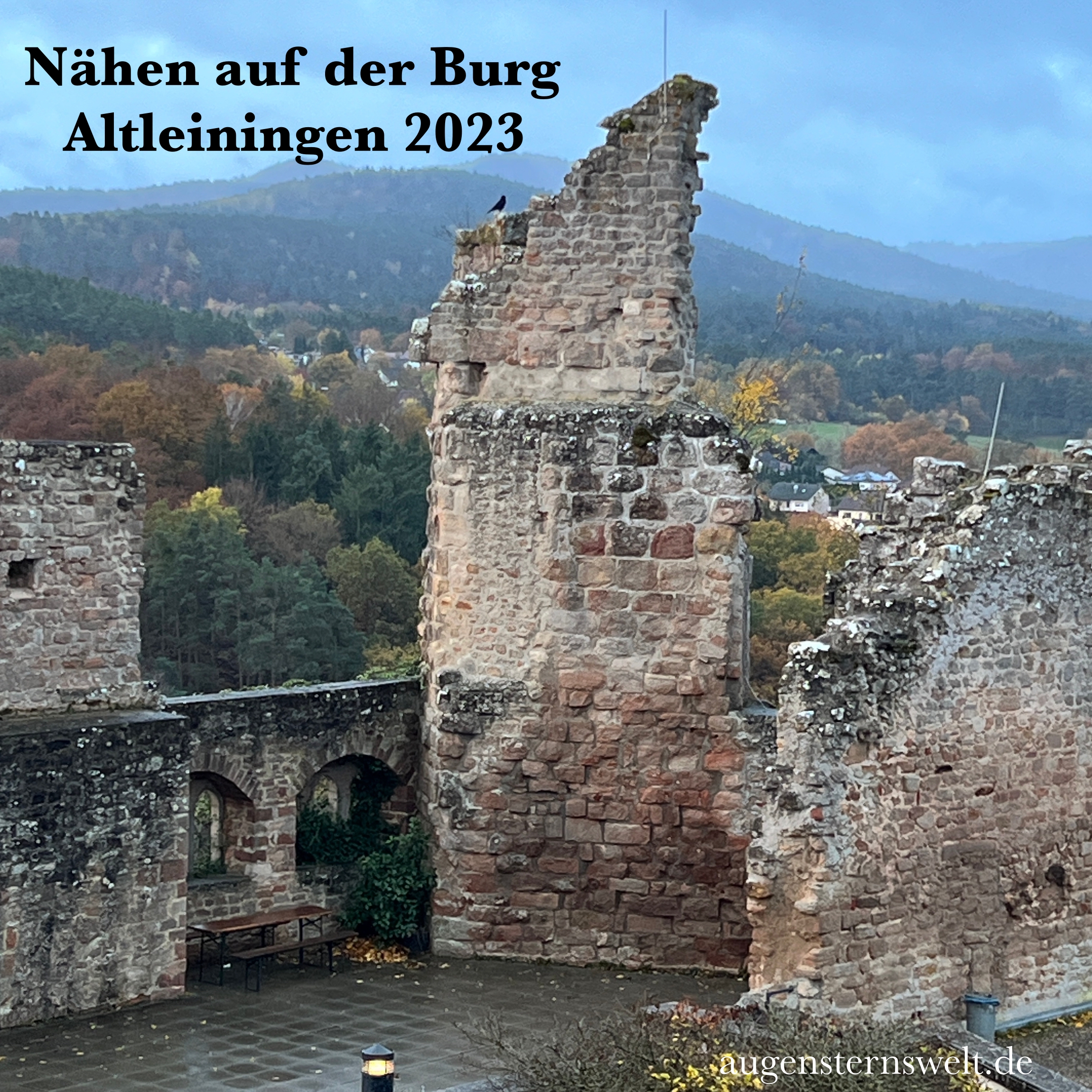 Featured Post Image - Nähen auf der Burg Altleiningen 2023
