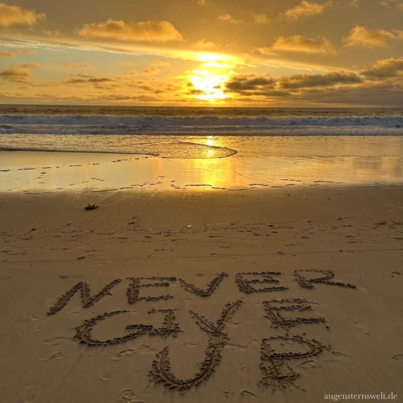 Featured Post Image - Juhuu, endlich habe ich meine Blogroll zurück!!!