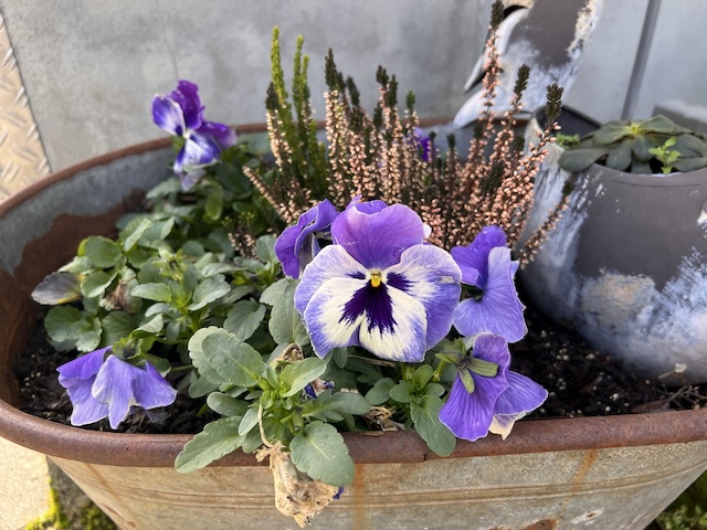 Featured Post Image - Meine Glücks-Momente im Februar