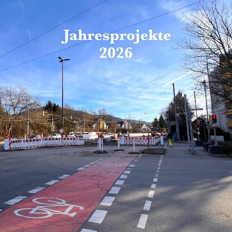 Featured Post Image - Meine Jahresprojekte – 2026