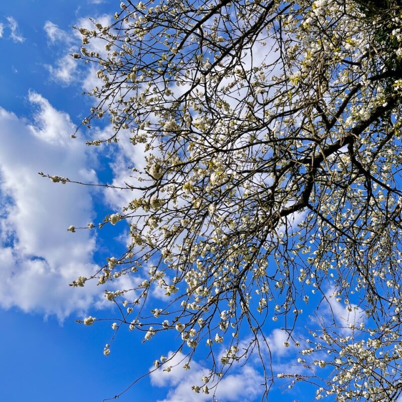 Featured Post Image - Meine Glücks-Momente im März