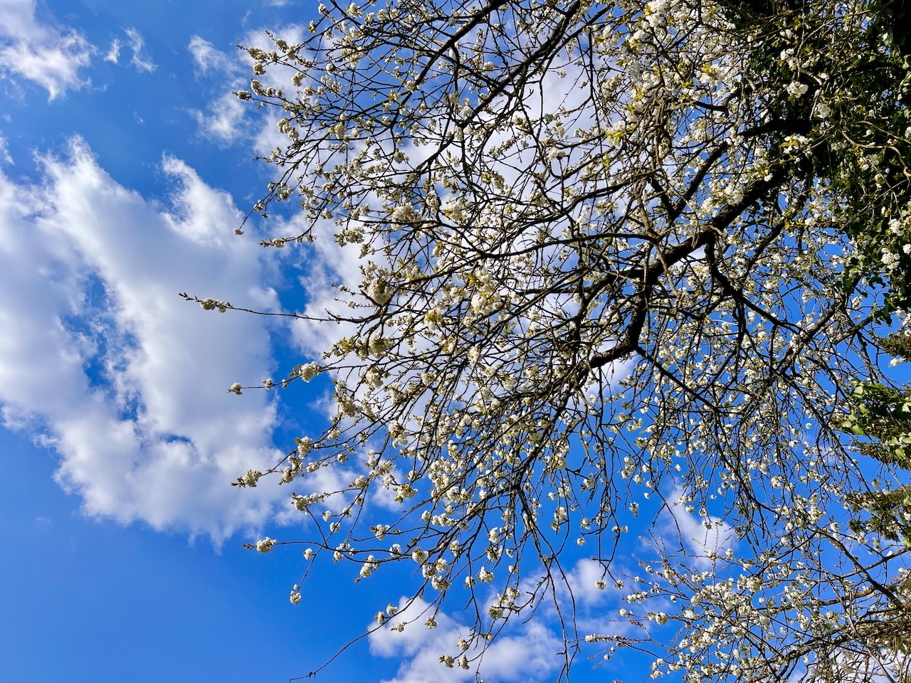 Featured Post Image - Meine Glücks-Momente im März