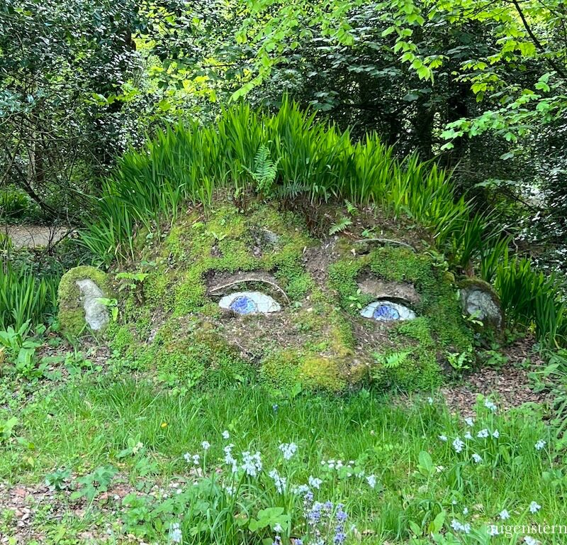Featured Post Image - Meine Glücks-Momente im Mai – The Lost Gardens of Heligan